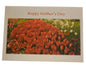 Mother’s Day Card for Mom – Tulips Floral Greeting Card